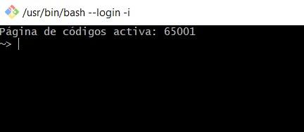 Adjunto imagen del git bash