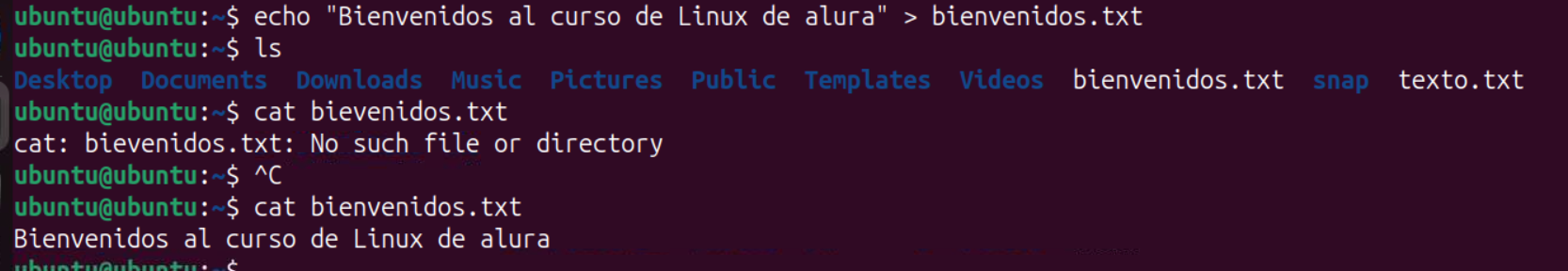 ITerminal linux letras verdes sobre fondo negro, cuando digitas salen letras blancas usado comando Echo