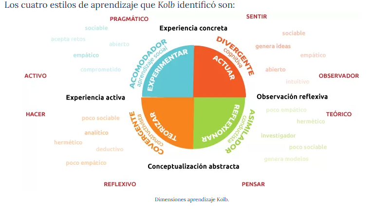 Gráfica sobre los cuatro estilos de aprendizaje de la teoría de Kolb