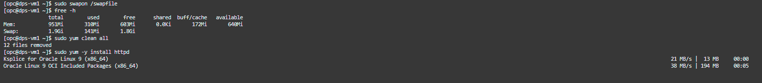 le agregue 1 Gbytes de swap