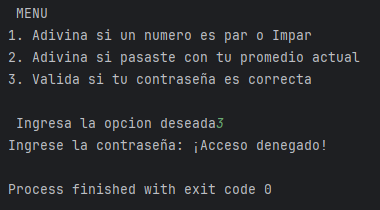 Salida del ejercicio Validar Contraseña: