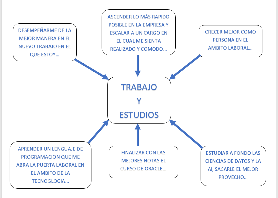 METAS LABORALES Y DE ESTUDIO