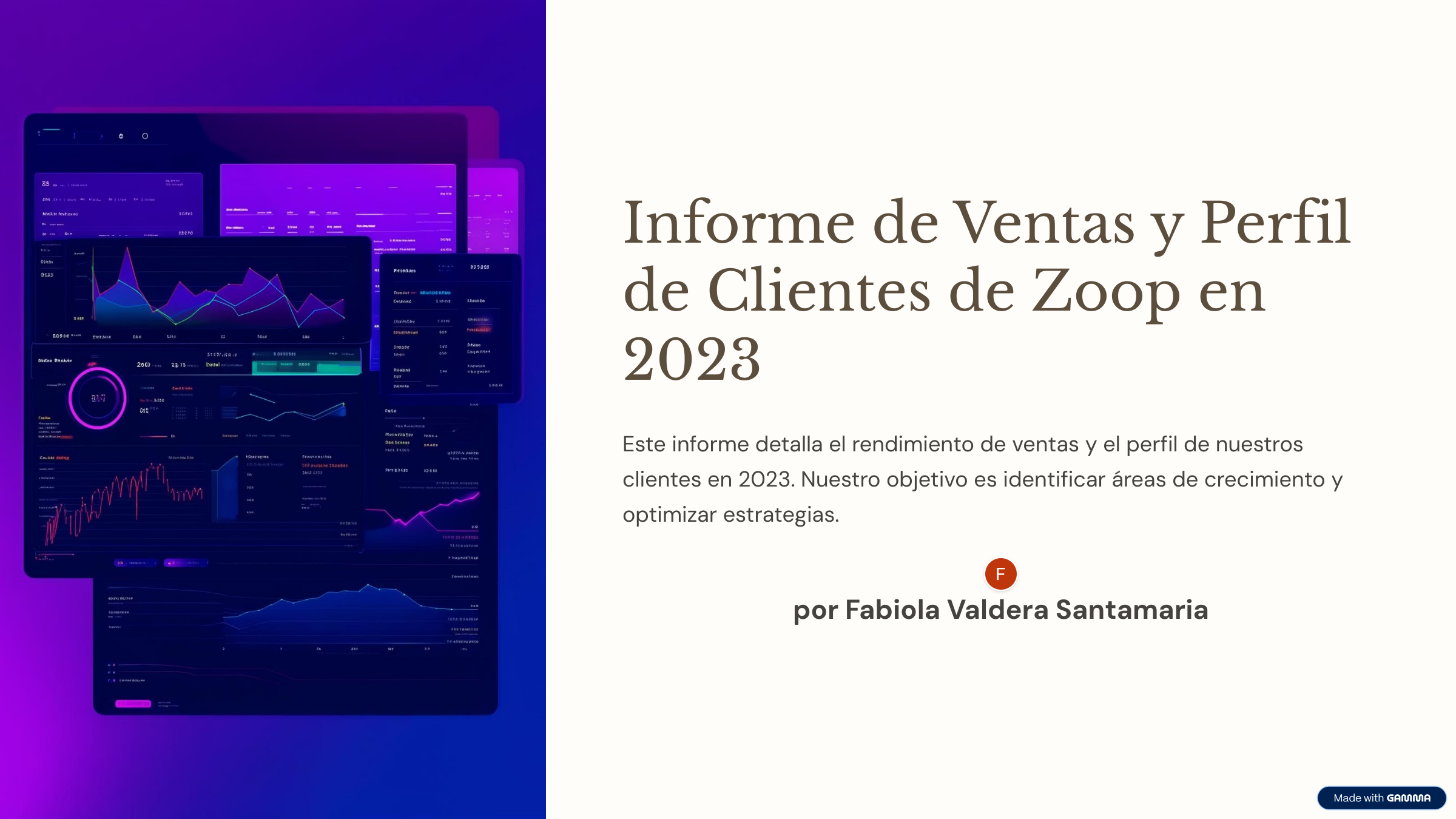 Informe de Ventas y Perfil de Clientes de Zoop en 2023