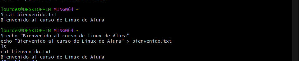 muestra la imagen de la consola de git bash con los comandos del ejercicio