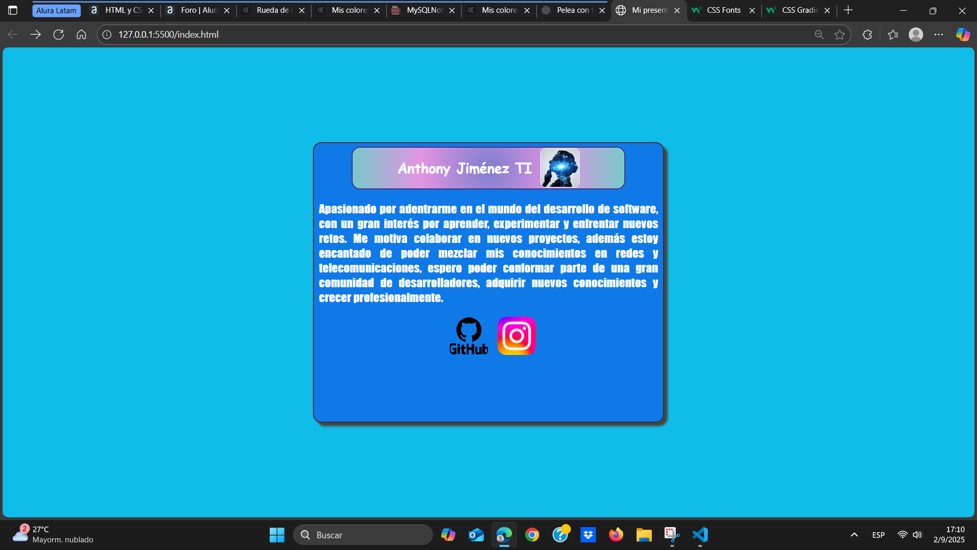 Visualización de la página web con los colores aplicados