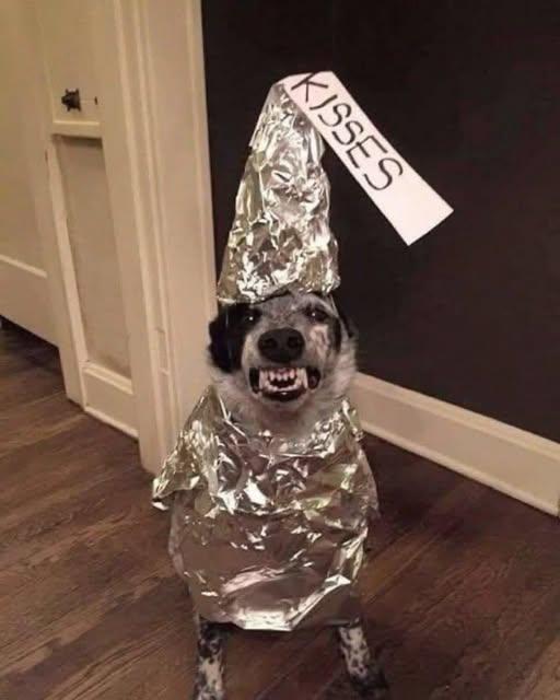 Ingrese aquí la descripción de esta imagen para ayudar con la accesibilidad
