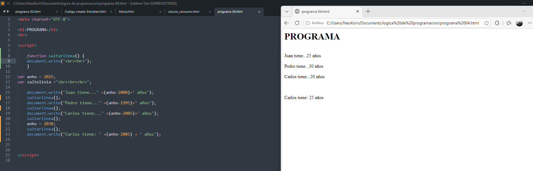 Realizando programa y aplicacndo la funcion, y resumen de codigo 